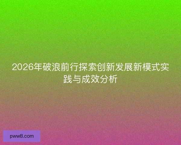 2026年破浪前行探索创新发展新模式实践与成效分析